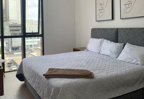 Apartamento Departamento Zona Chapultepec