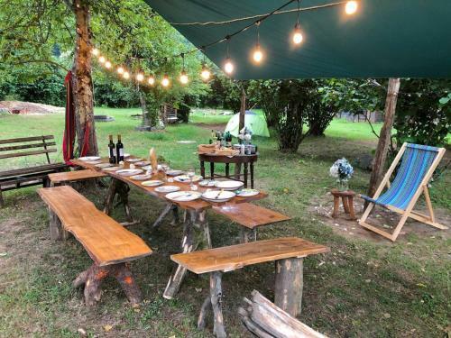 Dumbo Eco Camp