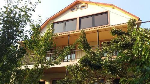 Resort Hotel Surami
