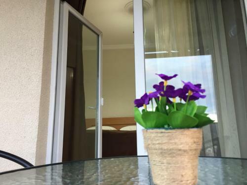 Hostal Guest House Maradona