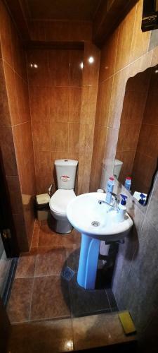 Apartamento Albatrosi 2021