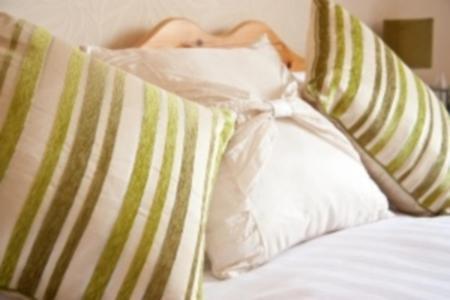 Bed & Breakfast Ivy Guest House