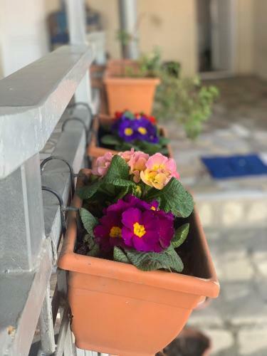 Hostal Guest House Loza