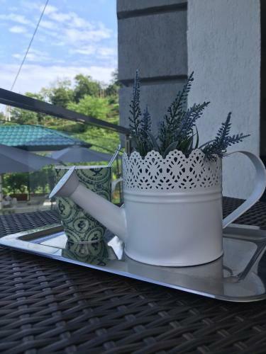 Apartamento Guest House Botanical Paradise
