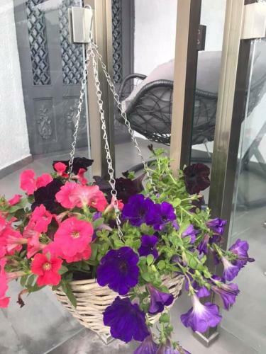 Apartamento Guest House Botanical Paradise