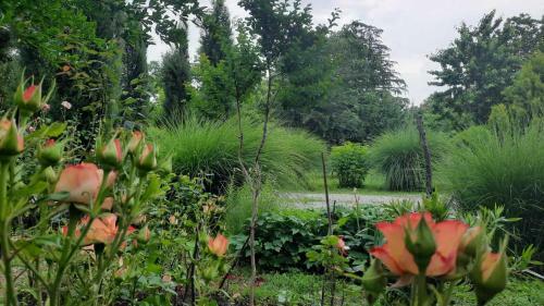 Hostal Green House