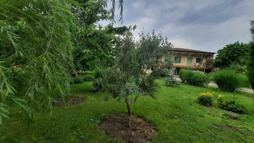 Hostal Green House