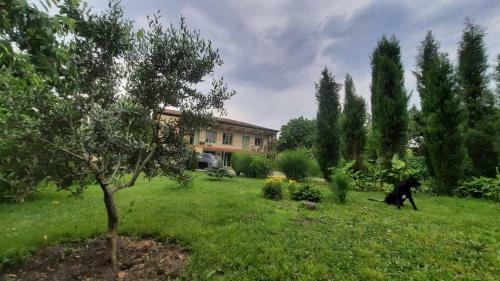 Hostal Green House