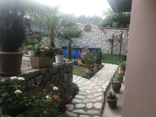 Hostal Dreamland Guest House