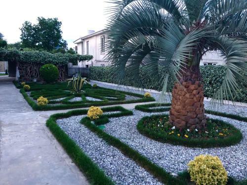 Bed & Breakfast Green Garden