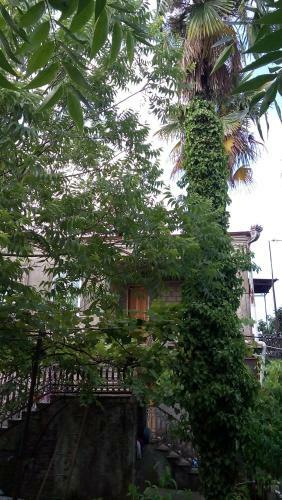Hostal Elco