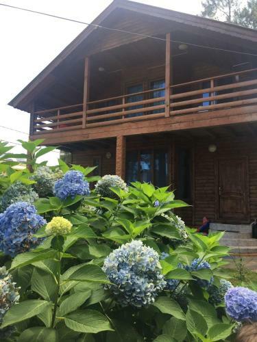 Villa Green Cottage Shekvetili