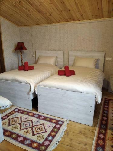 Hostal Guesthouse Litoros