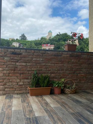 Hostal Guesthouse Litoros