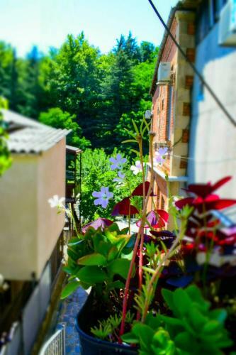 Hostal A.g's Guest House