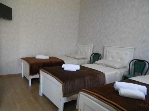 Hostal Kutaisi-maemani