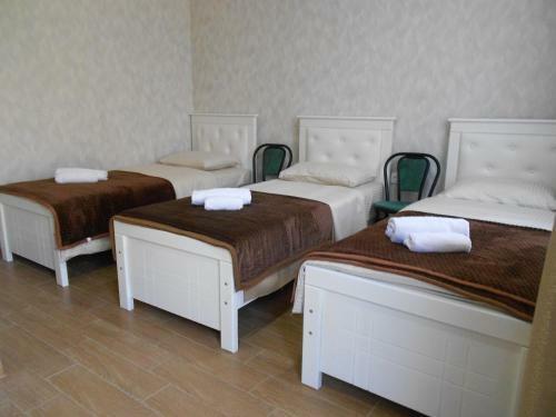 Hostal Kutaisi-maemani