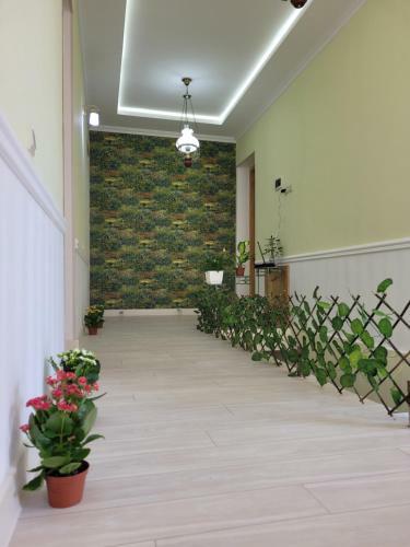 Hostal Hotel Dika