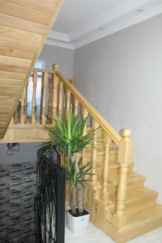 Hostal Guest House Katerina
