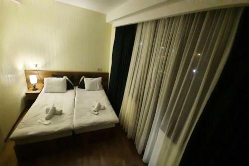 Hostal Hotel Goldenera