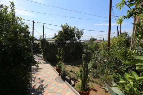 Hostal Daduna