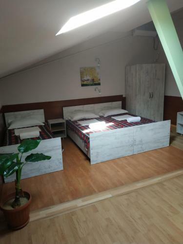 Hostel Portal