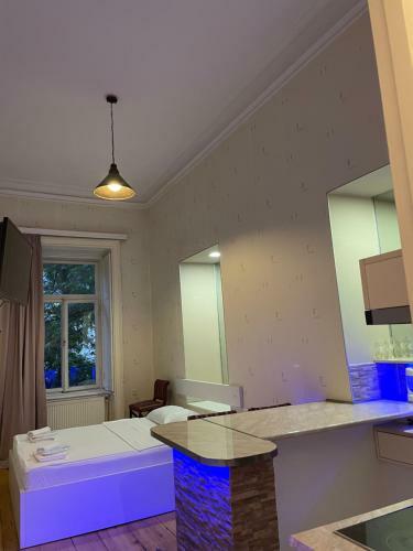 Apartamento Downtown Room