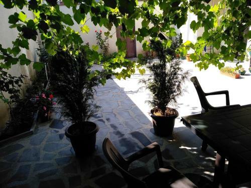 Old City Lg Apartment