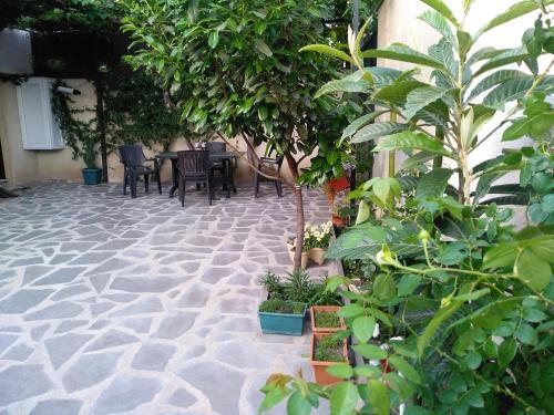 Old City Lg Apartment