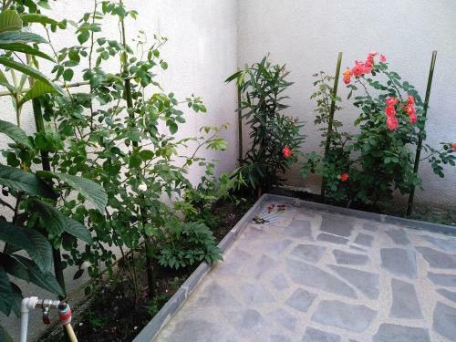 Old City Lg Apartment