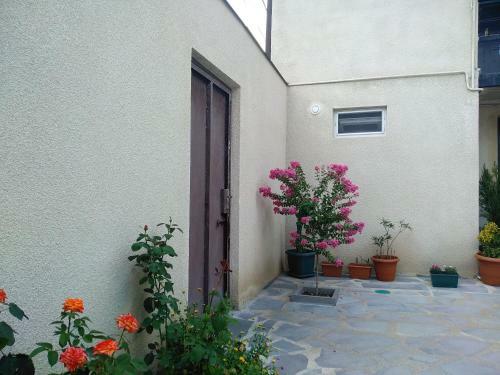 Old City Lg Apartment
