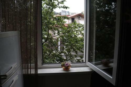 Apartamento Ilia
