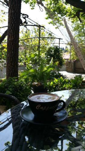Hostal Tbilisi Guesthouse Nini