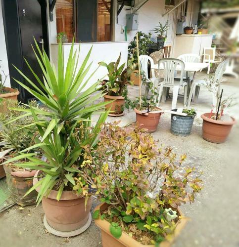 Apartamento ??????????? Italian Garden