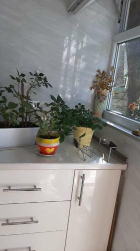 Apartamento Newly Renovated House