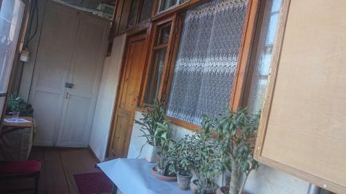 Apartamento Grandma`s Hotel