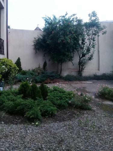 Hostal Domik S Dvorom