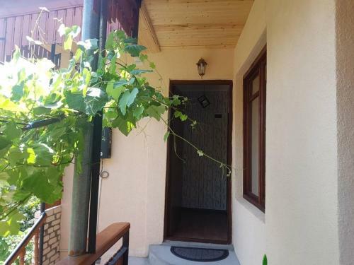 Holiday Apartment