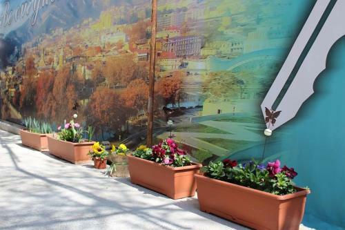 Hostal Easy Guest House