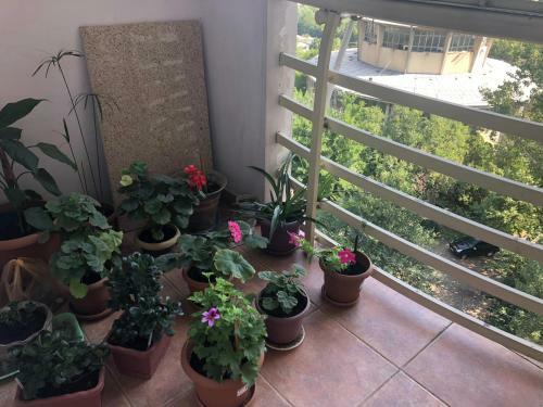 Hostal Only Female T Guesthouse