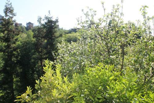 Hostal Apartment Murad