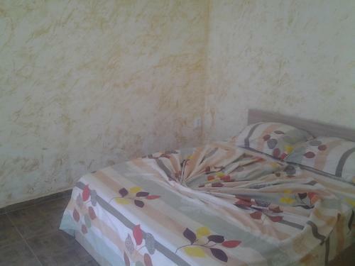 Bed & Breakfast Merab House