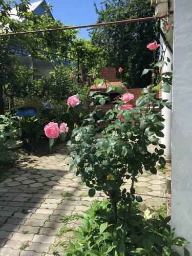 Bed & Breakfast Merab House