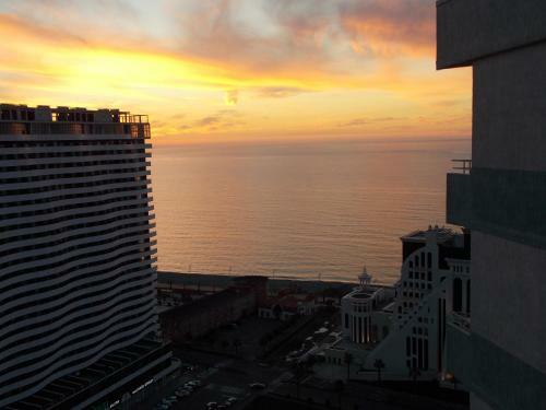 Inasaridze 16a Apartment Sea View
