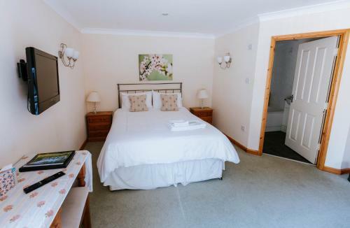 Hostal Bluebell House