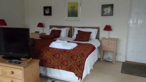 Hostal Bluebell House