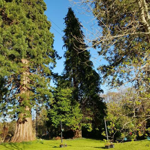 Kilmichael House B&B
