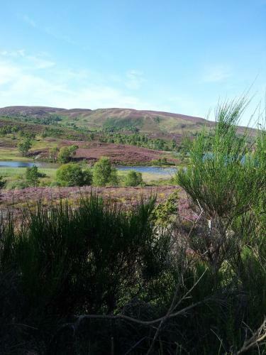 Kilmichael House B&B