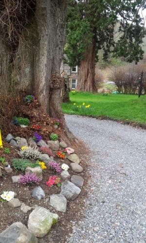Kilmichael House B&B