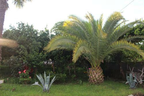Hostal Greenview Guesthouse